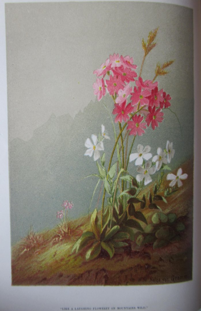 Havergal, Frances Ridley - Life mosaic