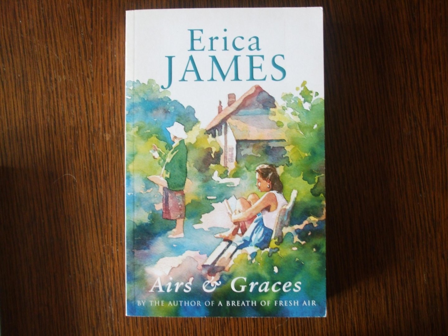 Erica James - Airs & Graces