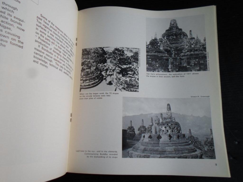  - Borobudur, Beauty in peril