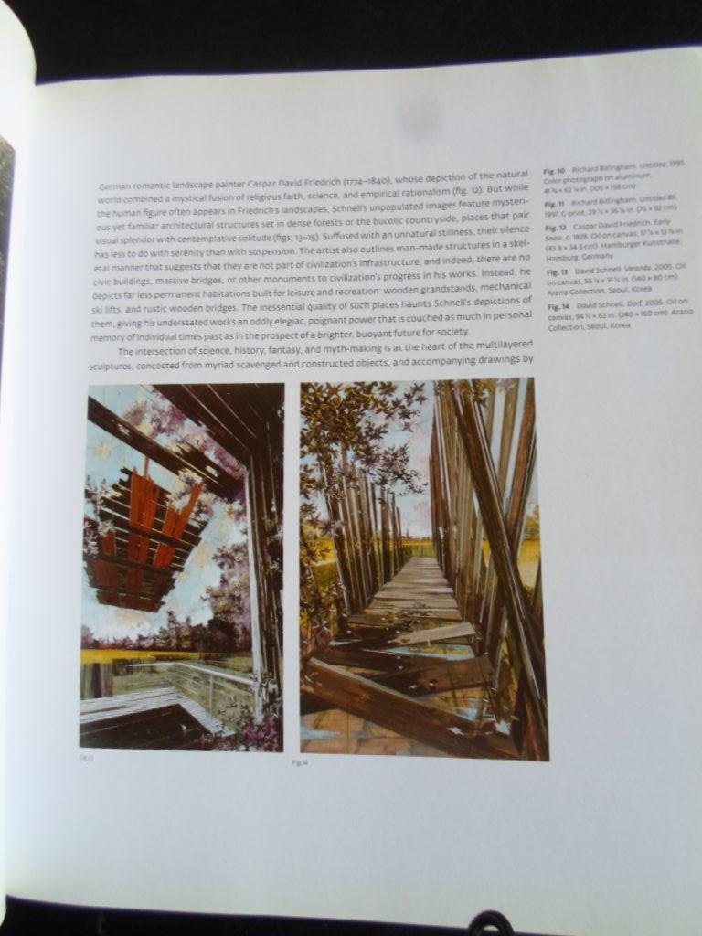 Sultan, Terrie & David Pagel, Colin Gardner, Claudia Schmuuckli - Damaged Romanticism, A Mirror of Modern Emotion