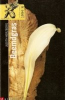 Herzberg, Judith - Beemdgras