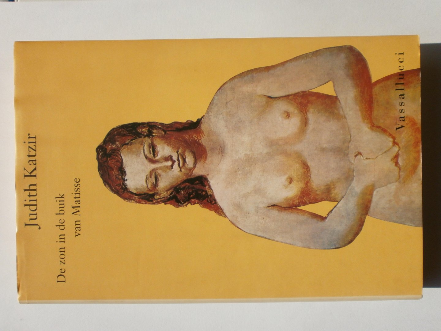 Katzir, Judith - De zon in de buik van Matisse