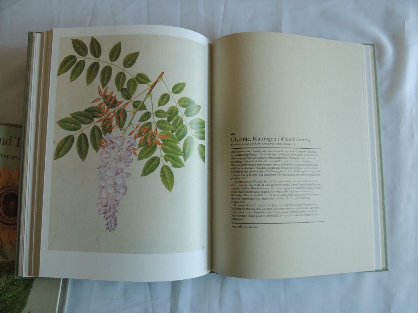 Coats, Alice - Kaiserkron und Tulipan die Schönheit von Blumen und Blüten. Tafeln aus Pflanzenbüchern des 16. bis 19. Jahrhunderts