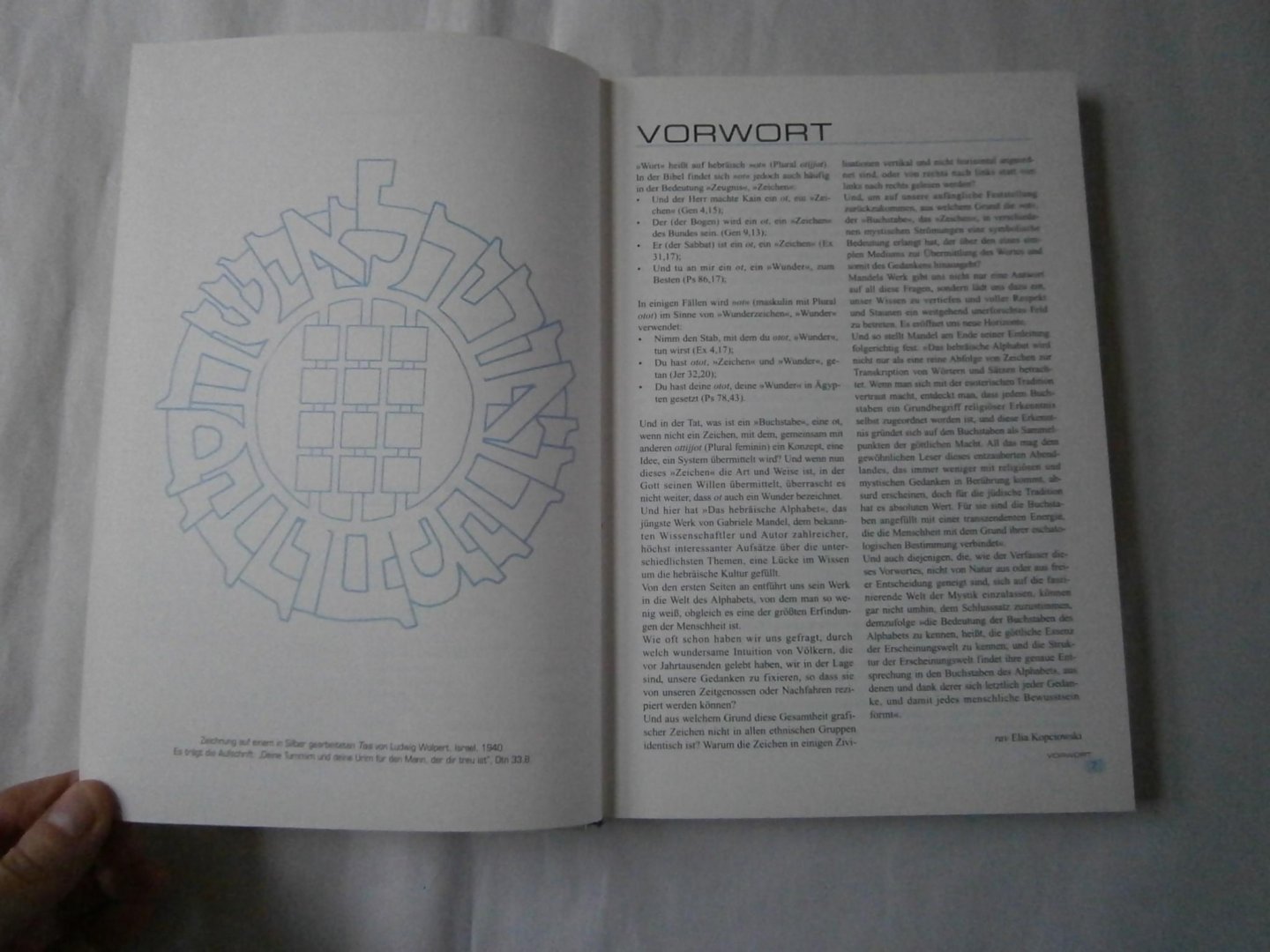 Mandel, Gabrielle - Gezeichnete Schöpfung Eine Einführung in das hebräische Alphabet und die Mystik der Buchstaben