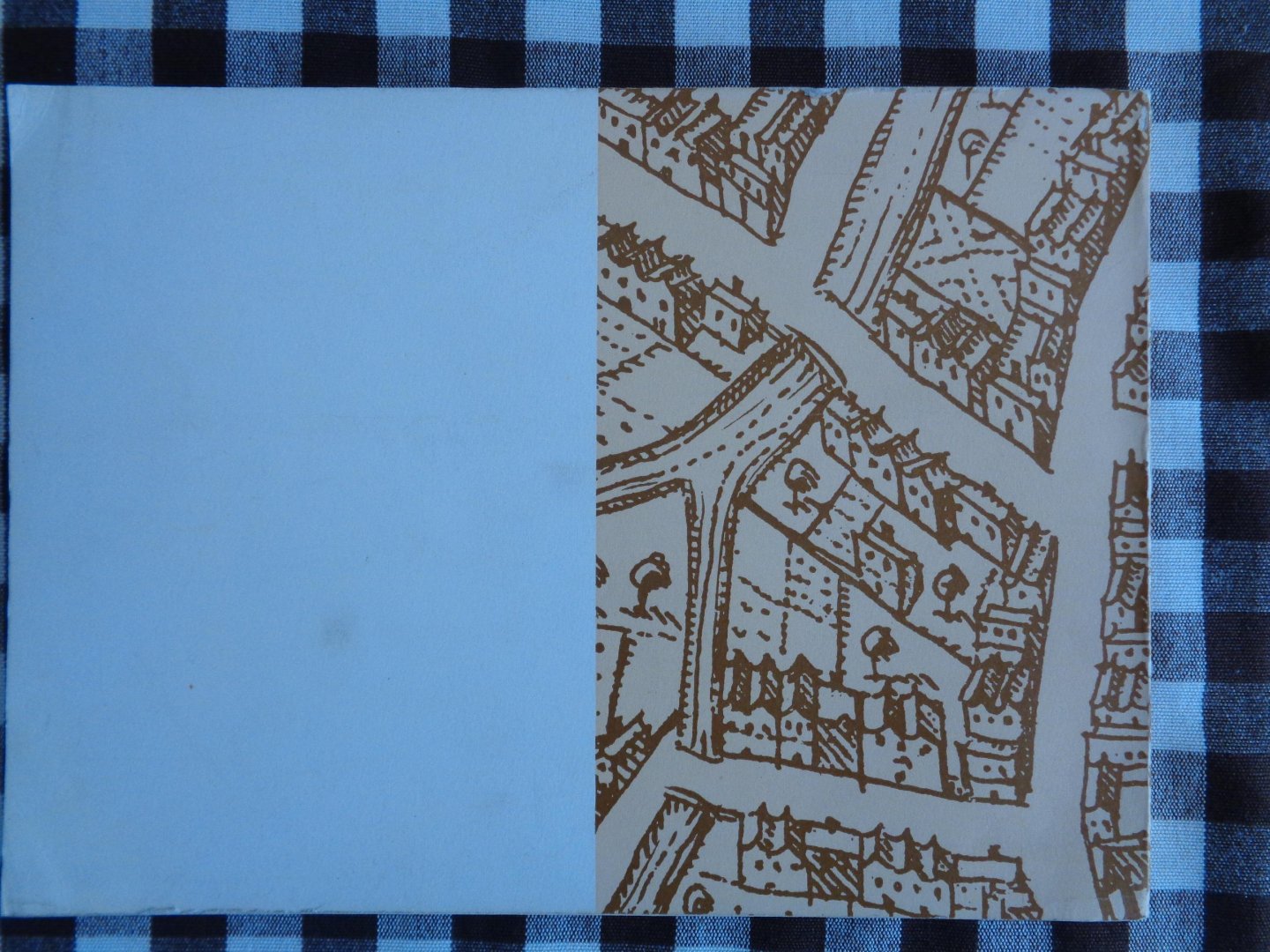 lisette danckaert - negentien belgische steden in kaart prent