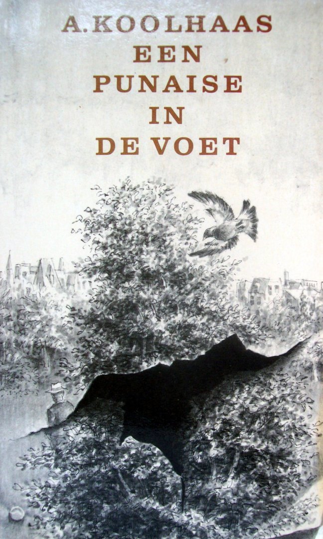 Anton Koolhaas - Een  punaise in de voet