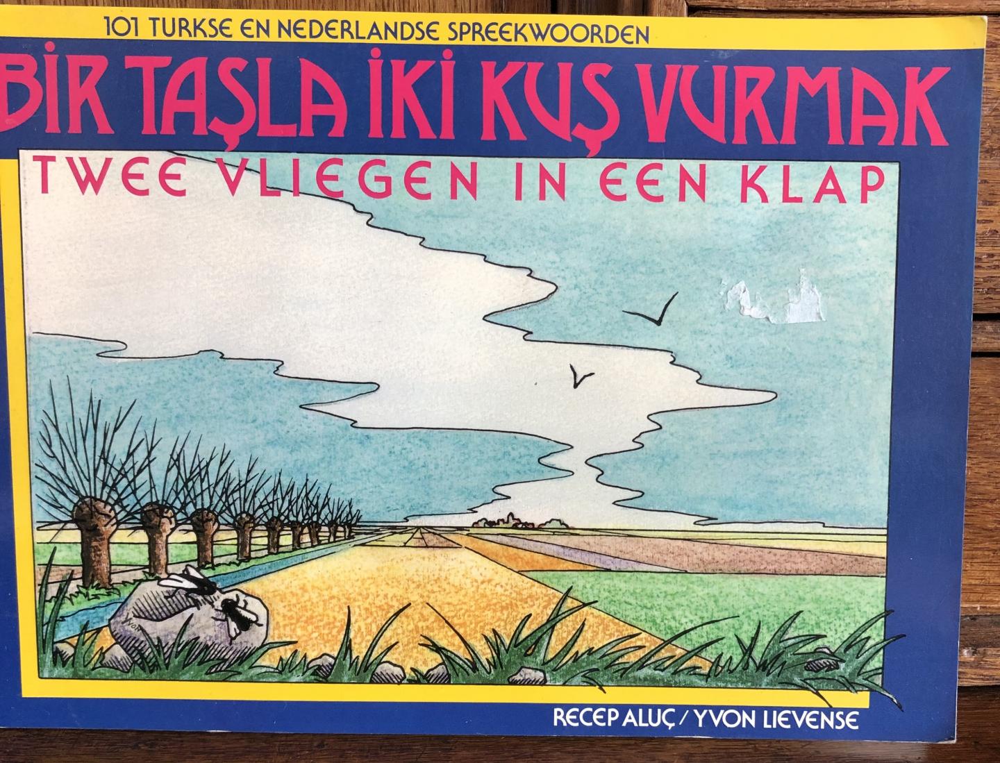 Aluc, Recep Lievense, Yvon - Twee vliegen in een klap / 101 Turkse en Nederlandse spreekwoorden