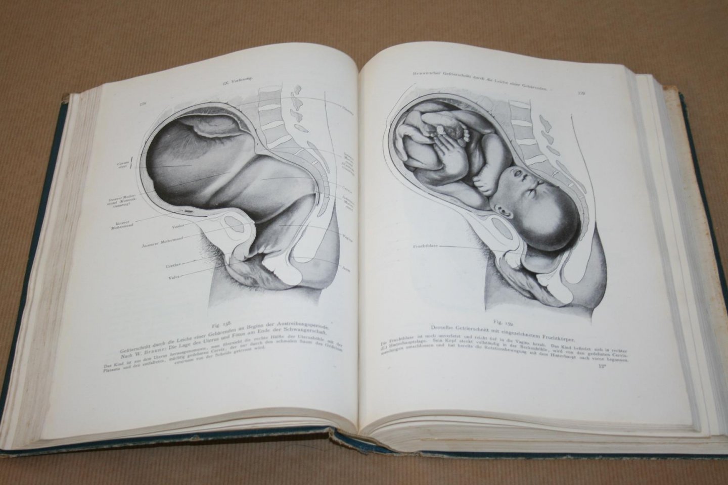 Dr. Ernst Bumm - Grundriss zum Studium der Geburtshilfe