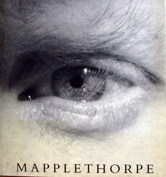 Mapplethorpe Foundation 1992 Essay by A. Dant - Mapplethorpe