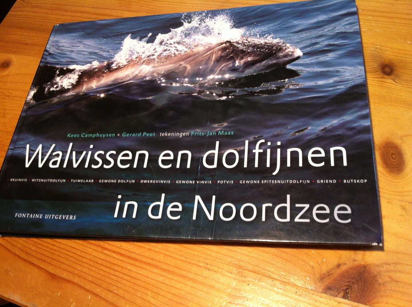 Camphuysen, Kees, Gerard Peet, Frits-Jan Maas - Walvissen en dolfijnen in de Noordzee