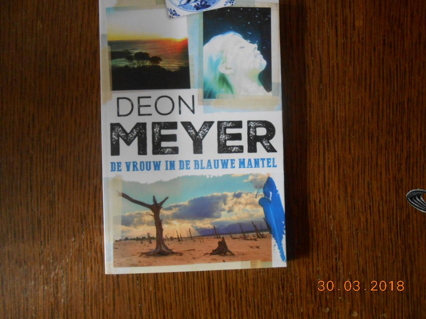 Deon Meyer - De vrouw in de blauwe mantel