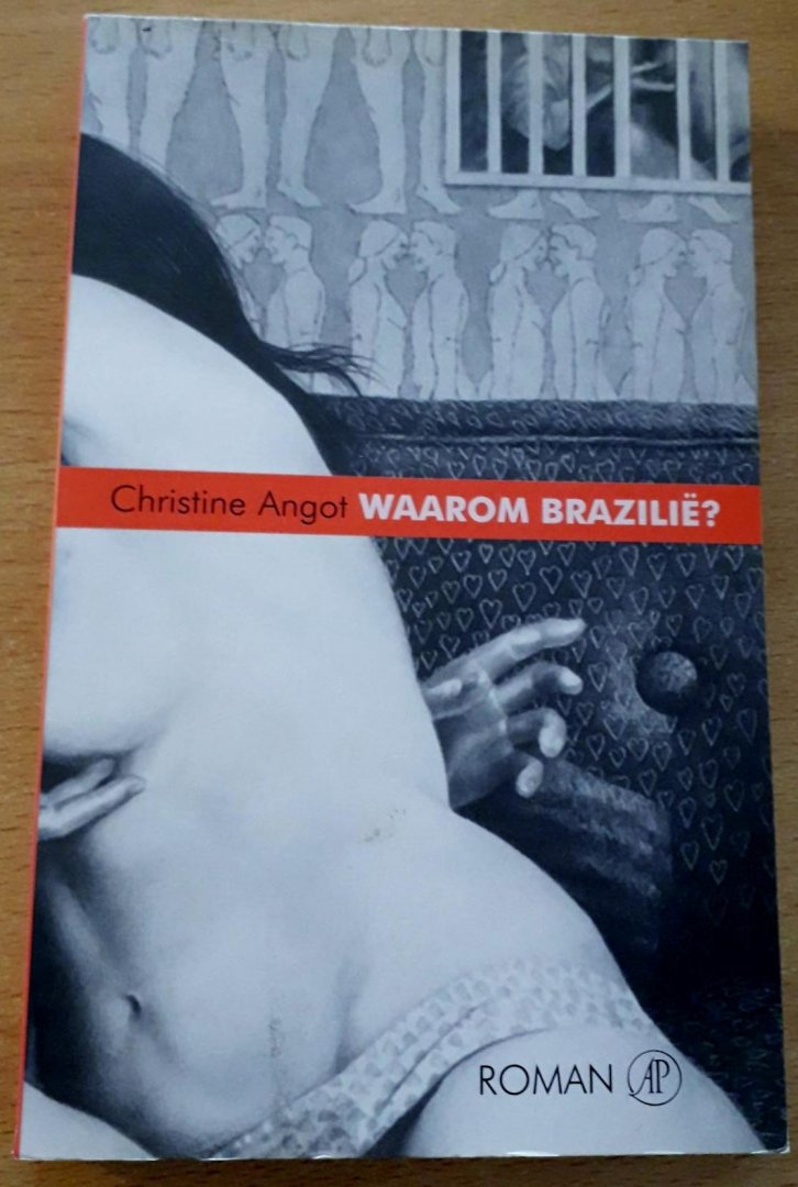 Angot, Christine - Waarom Brazilië?