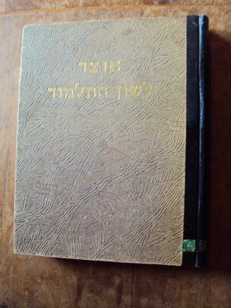 Ginsburg, Levi - Otsar leshon ha-Talmud