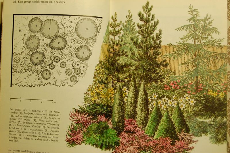 Kiaer, Eigil - Tuinaanleg en beplanting in kleur