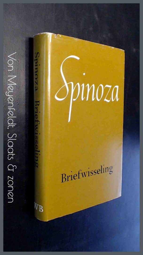 Spinoza - Briefwisseling