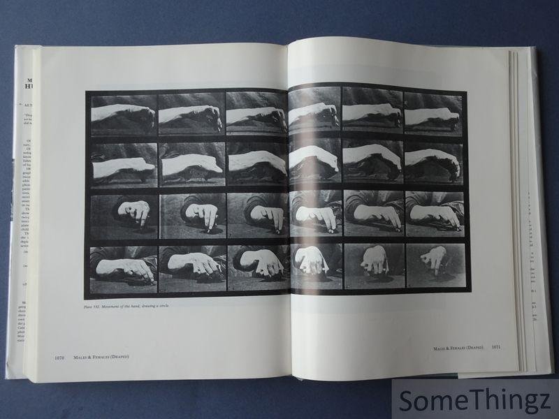 Eadweard Muybridge. - Muybridge's complete human and animal locomotion. All 781 plates from the 1887 Animal Locomotion by Eadweard Muybridge. Volume II.