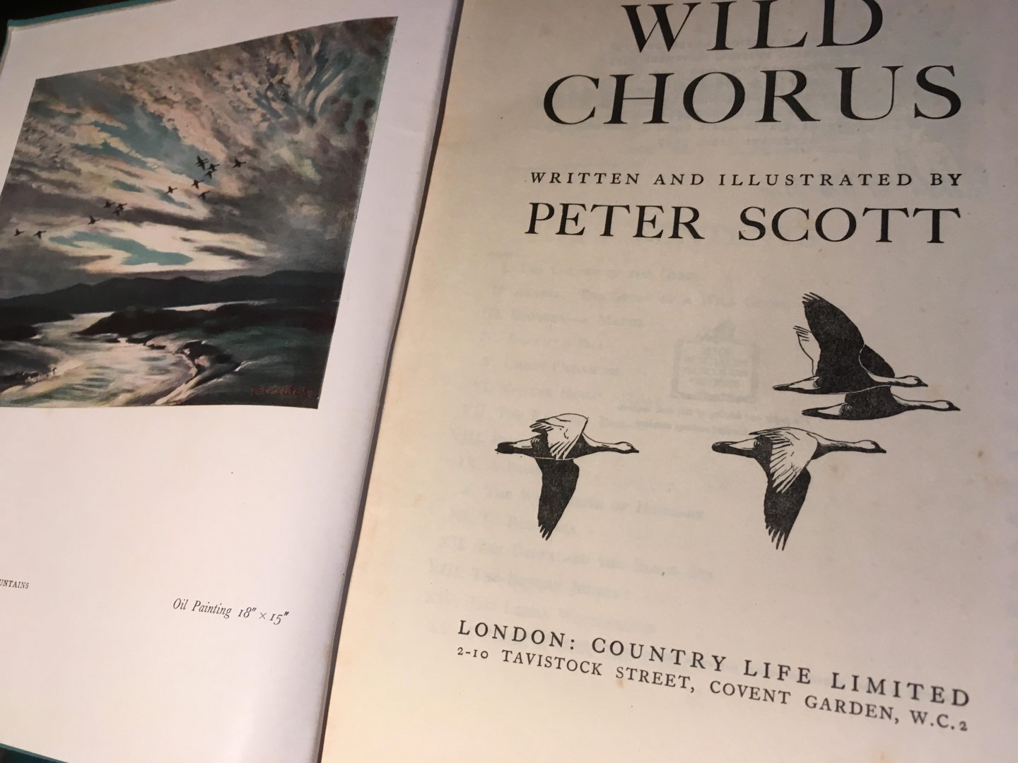 Scott, Peter - Wild Chorus