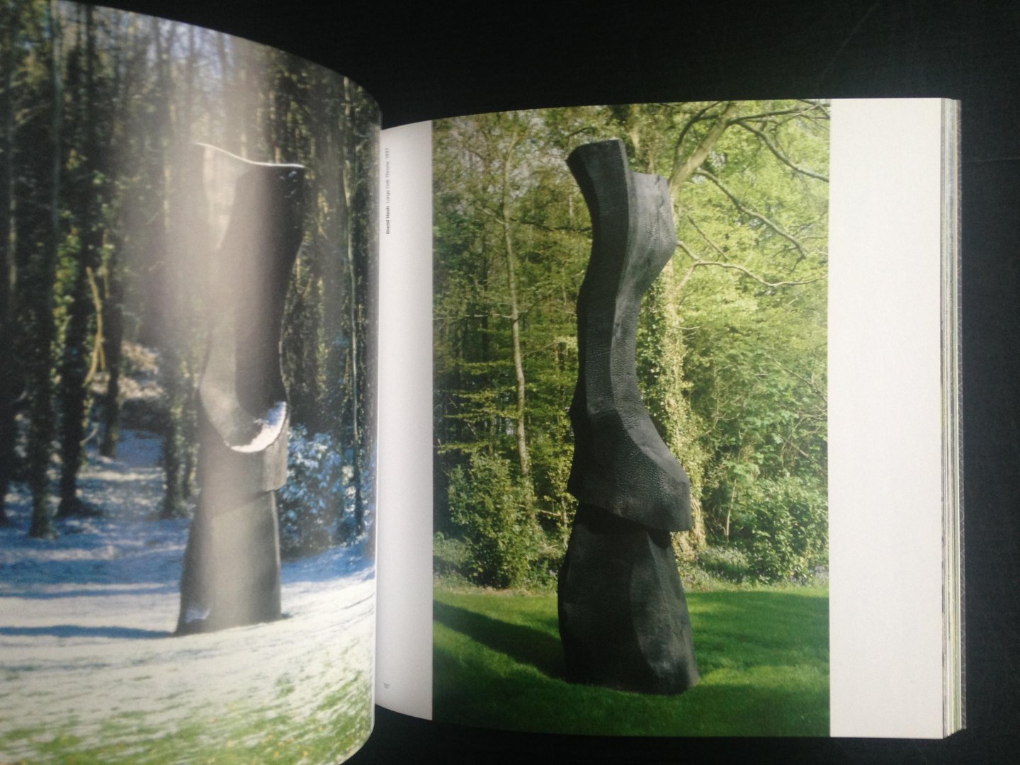  - Cass, Sculpture Foundation, The international resource for commissioning, exhibiting and selling monumental sculpture