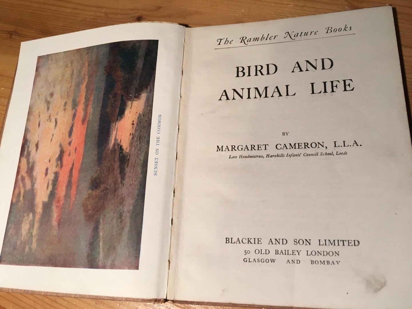 Cameron, Margaret - Bird and Animal Life