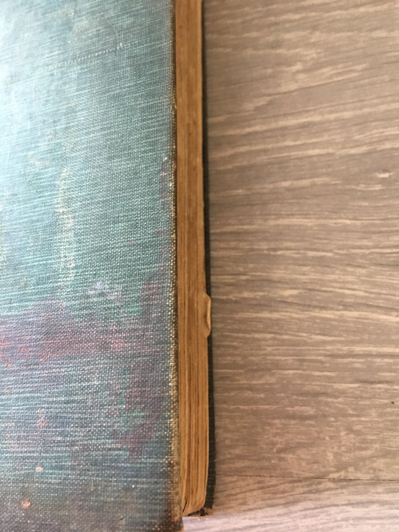 Mary A. Woods - Ad Lucem, A Novel