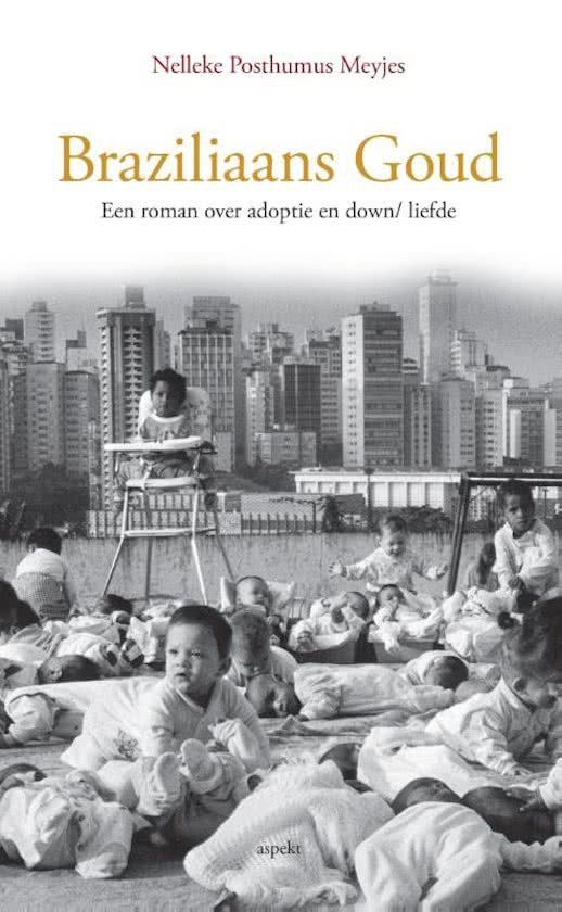 Posthumus Meyjes, Nelleke - Braziliaans goud / een roman over adoptie en down/liefde