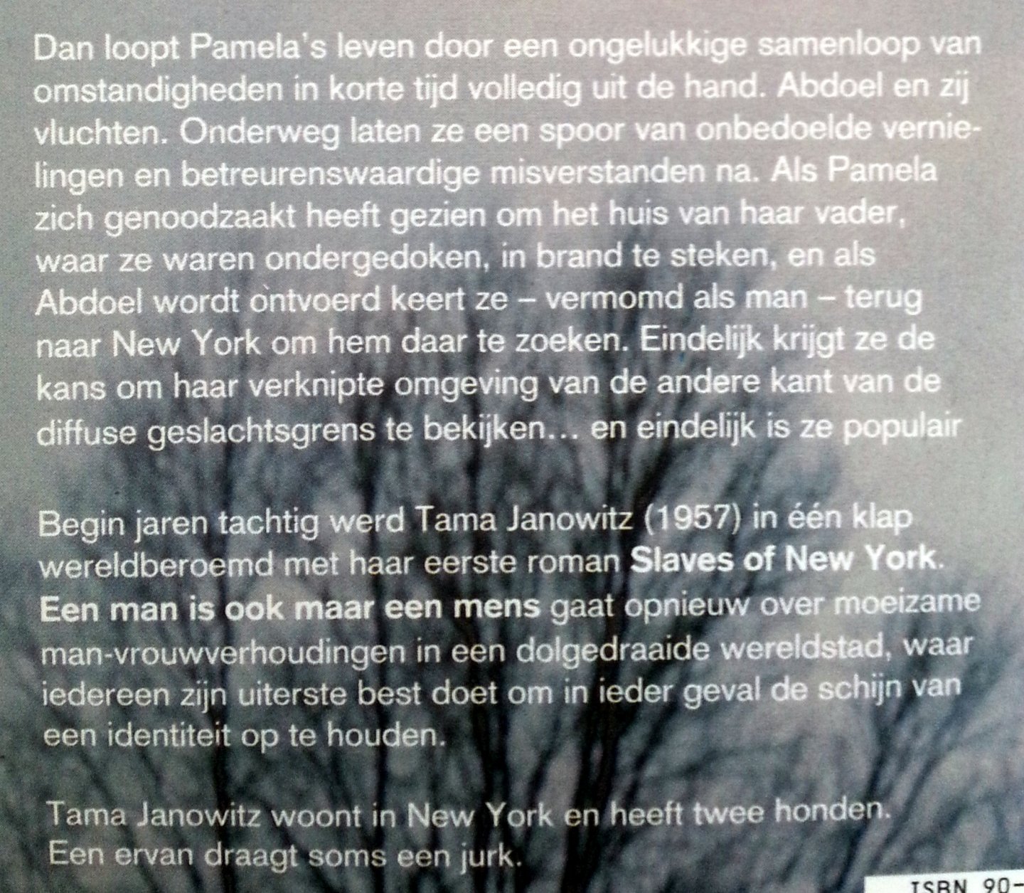 Janowitz, Tama - Een man is ook maar een mens