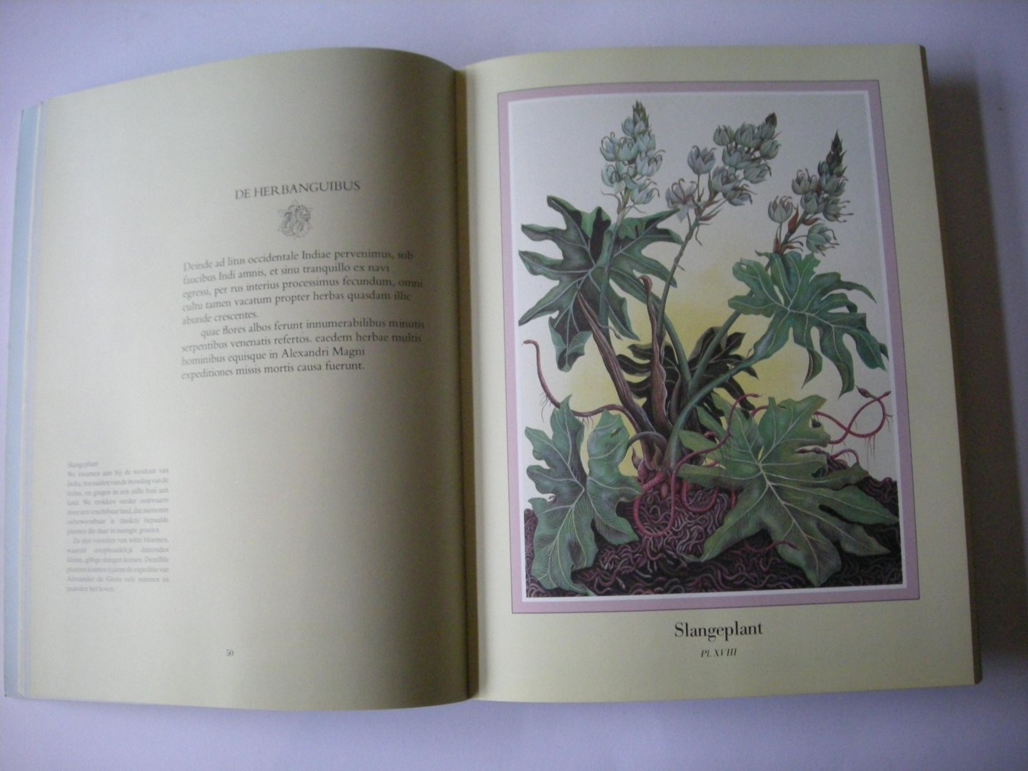 Woodruff, Una, illustr. - Inventorum naturae. De wonderbaarlijke reis van Plinius