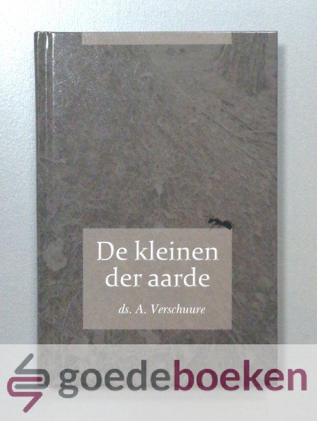Verschuure, Ds. A. - De kleinen der aarde --- 5 preken