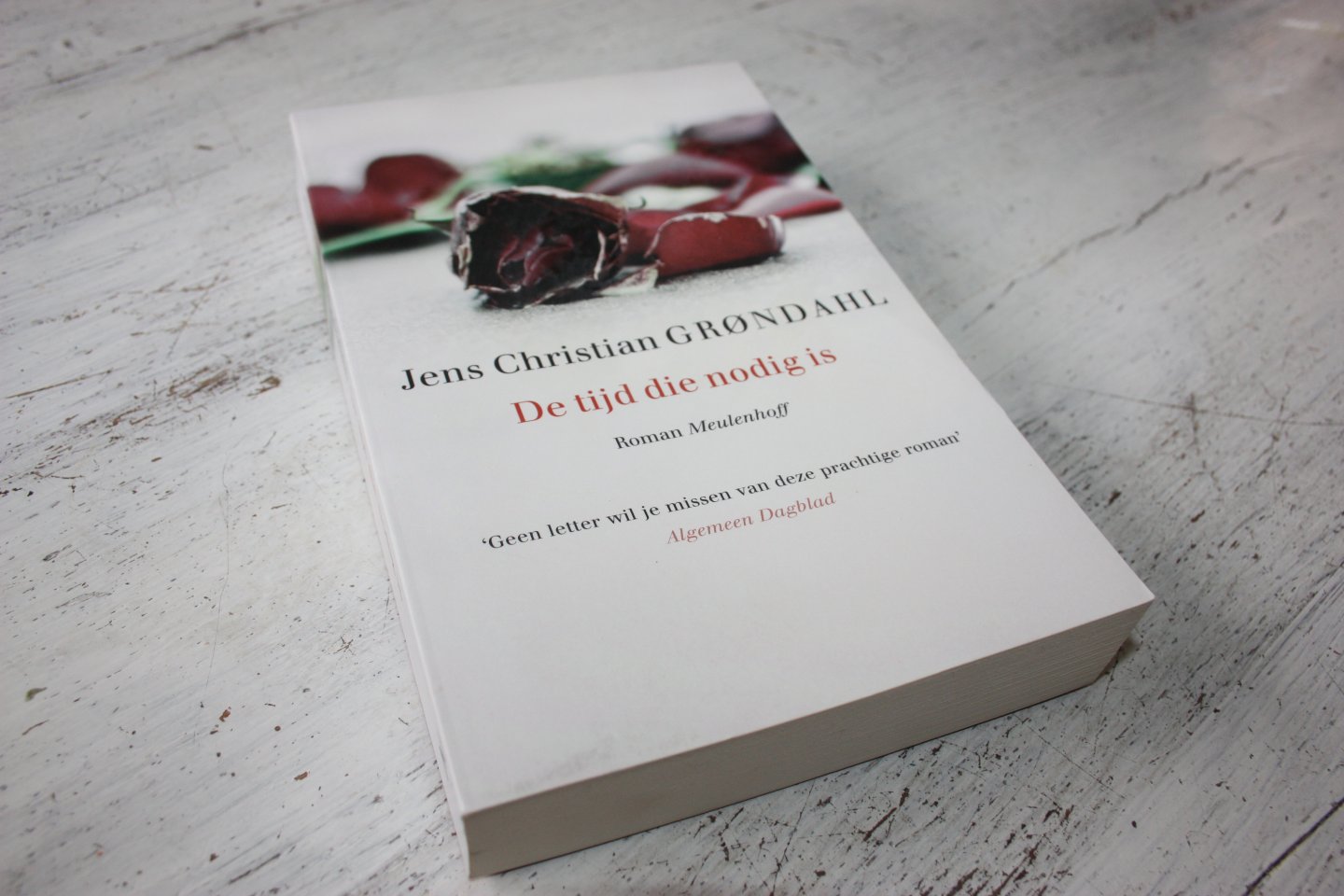 Grøndahl, Jens Christian - De tijd die nodig is