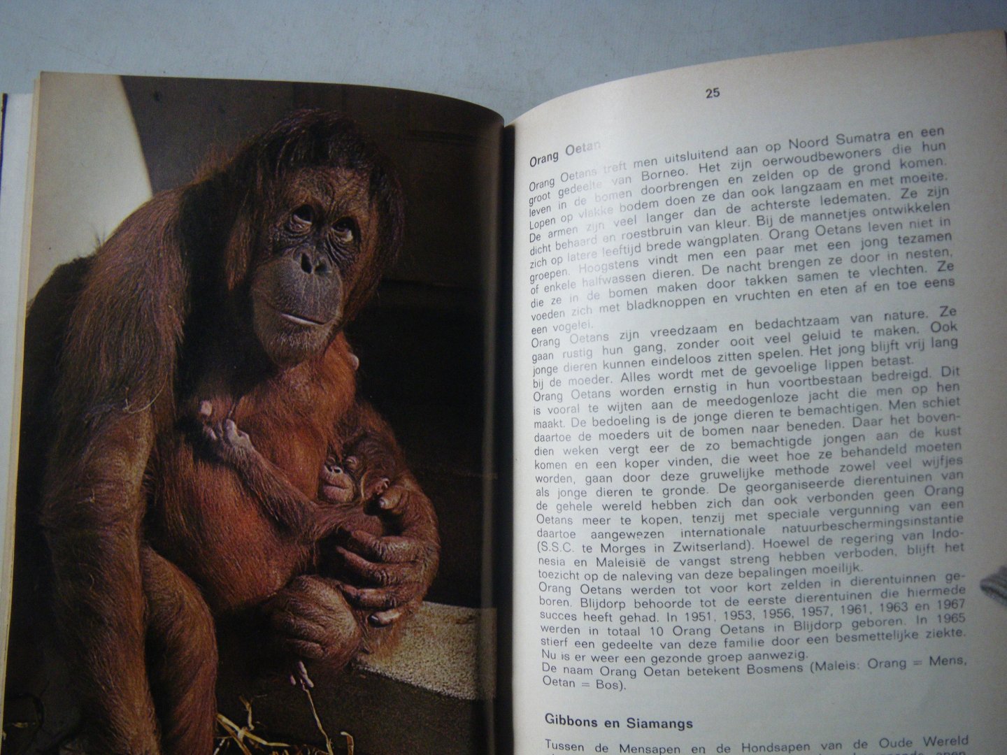 Bemmel A.C.V. van , Zwieten K. van - Zoo Blijdorp Gids en plattegrond