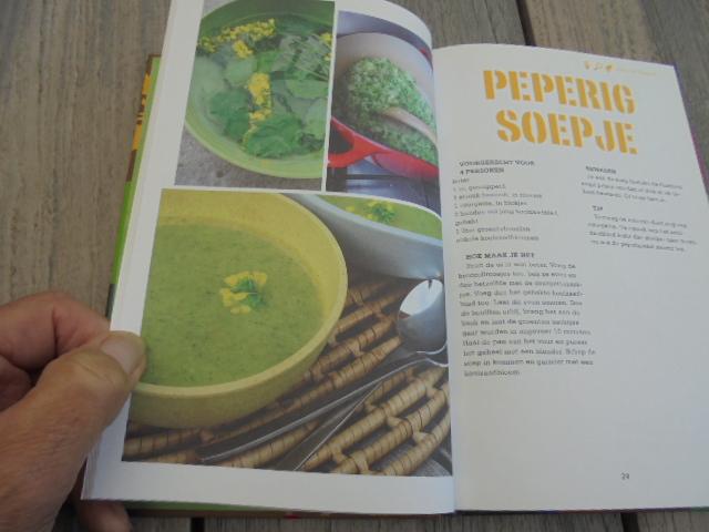 Leij, Remco van der - Guerrilla Food / zoek- en kookboek voor wildplukkers