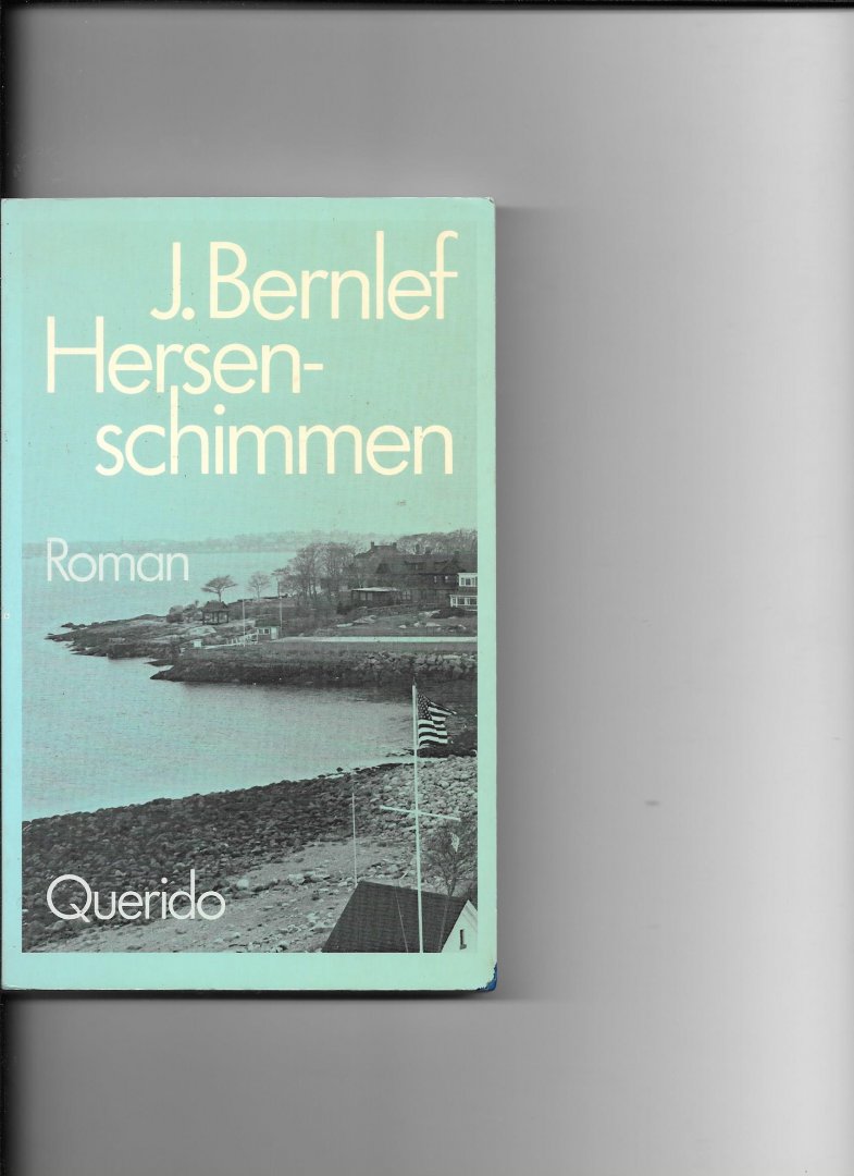 Bernlef, J. - Hersenschimmen / druk 17