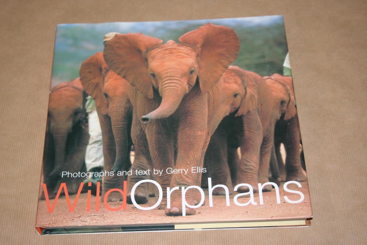 Gerry Ellis - Wild Orphans  (Fotoboek over jonge olifanten)