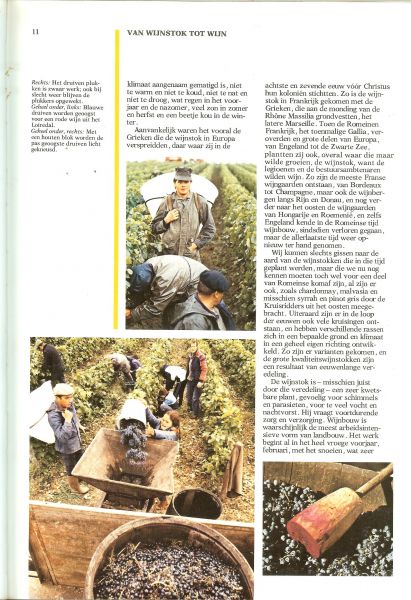 Born, Wina Foto's van Han Born, Jan Jonker en Peter van der Velde - Franse Wijnen. Een speurtocht door Frankrijk met Wina Born. Voor beginnende wijndrinkers en voor ervaren wijnliefhebbers.