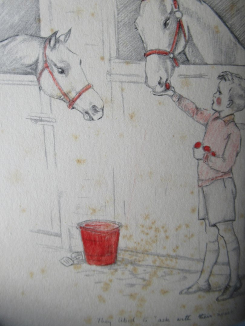 Spender, Brenda E. - On'y  Tony. The adventures of three ponies and a little boy