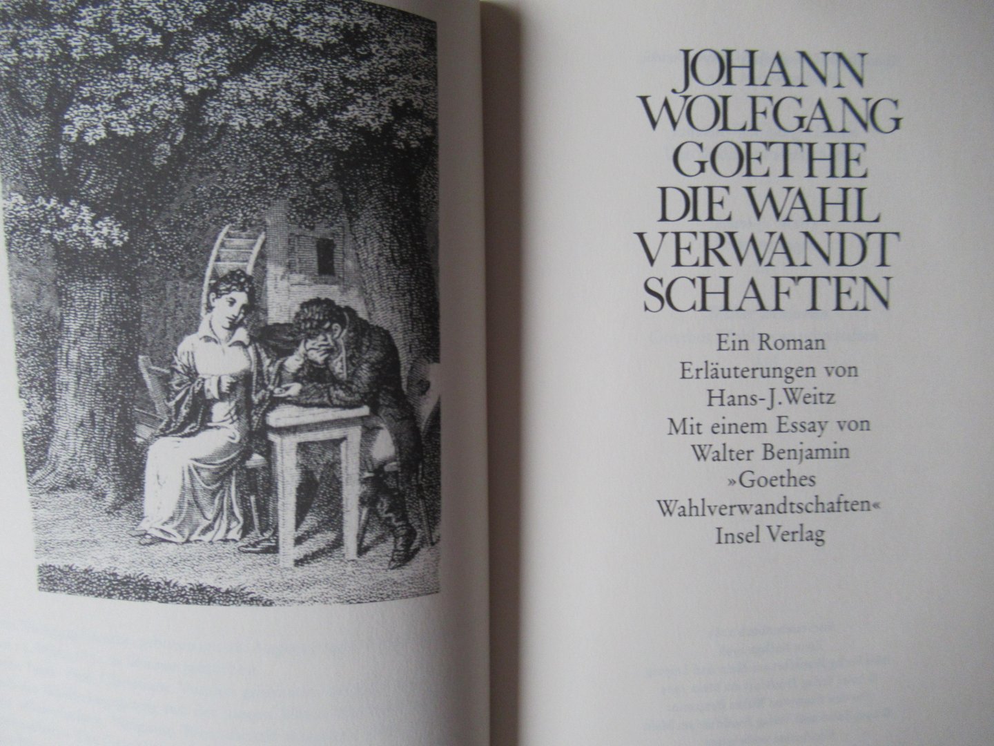 Goethe, Johann Wolfgang von - Die Wahl Verwandtschaften