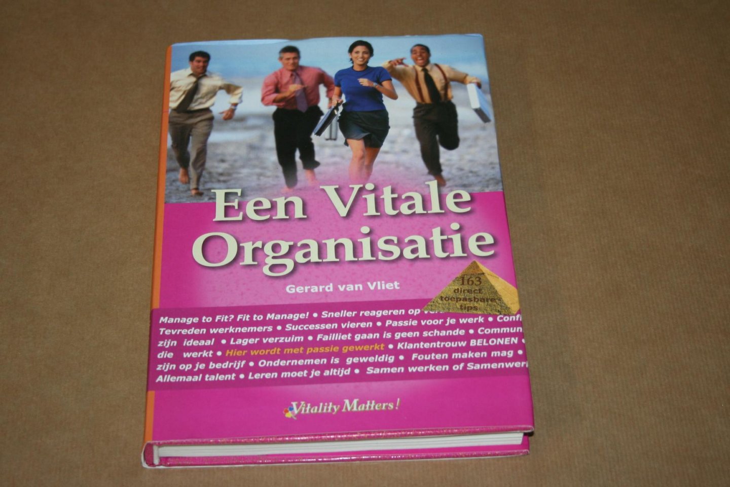 Gerard van Vliet - Een Vitale Organisatie