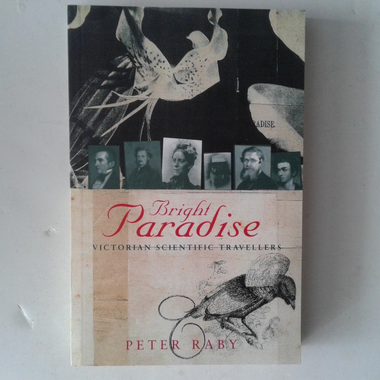 Raby, Peter - Bright Paradise ; Victorian Scientific Travellers