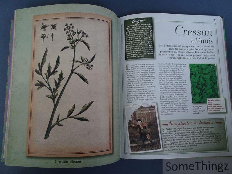 Nathalie Bucsek / Michel Viard. - Plantes aromatiques.