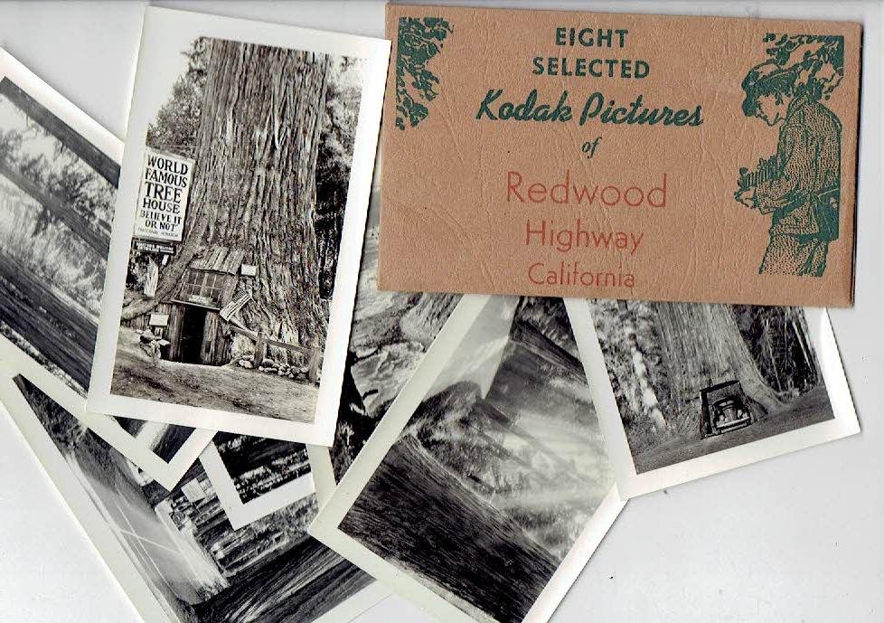 MAYER, Fred - Eight Selected Kodak Pictures of Redwood Highway California - Made by Fred Mayer - Mill Valley, California.