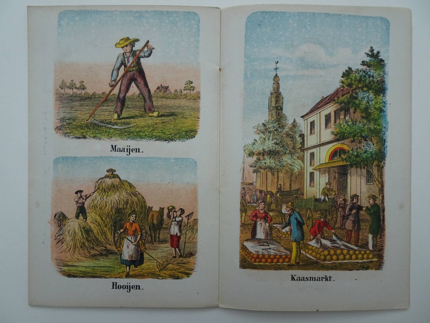 N.n.. - Nieuwe Nederlandsche Kinderboeken. Het Boerenleven.