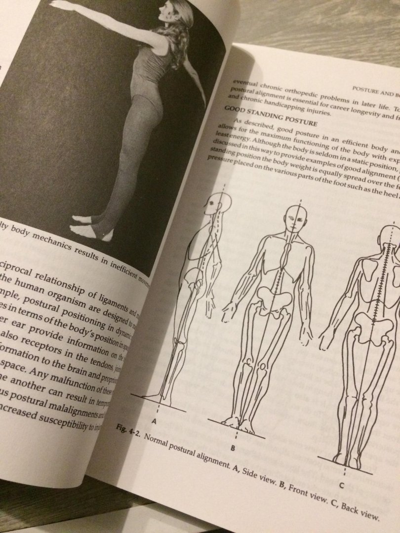 Daniel Arnheim - Dance Injuries