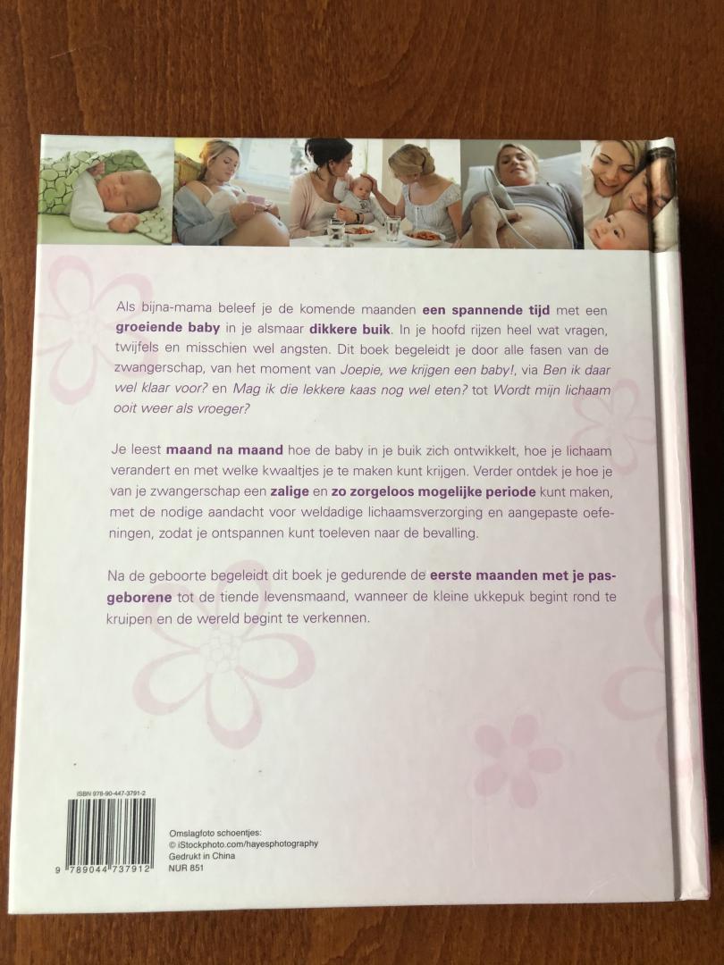 Weigert, Vivian, Lutje, Wolf - Ik word mama! / het complete handboek over zwangerschap, geboorte en de eerste maanden met je baby