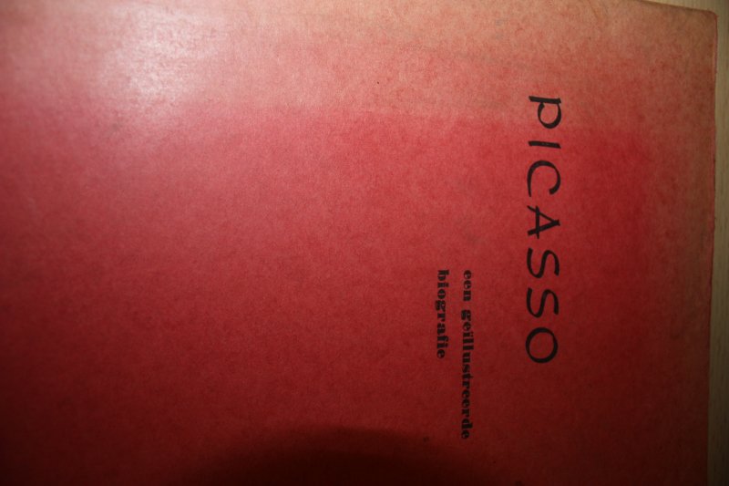  - PICASSO een geillustreerde biografie.