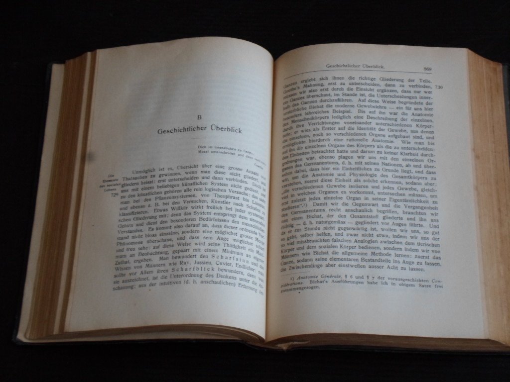 Stewert Chamberlain, Houston - Die Grundlagen des Neunzehnten Jahrhunderts, 2 volumes
