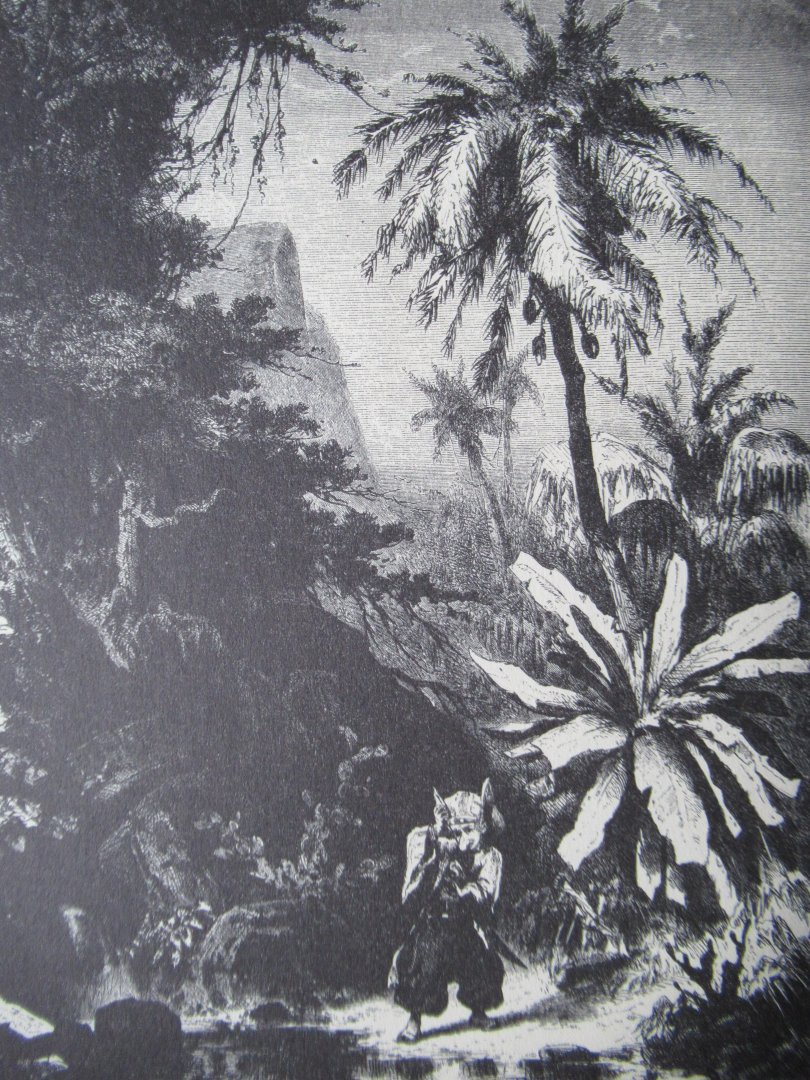 Hauff - Dwerg Langneus en andere verhalen