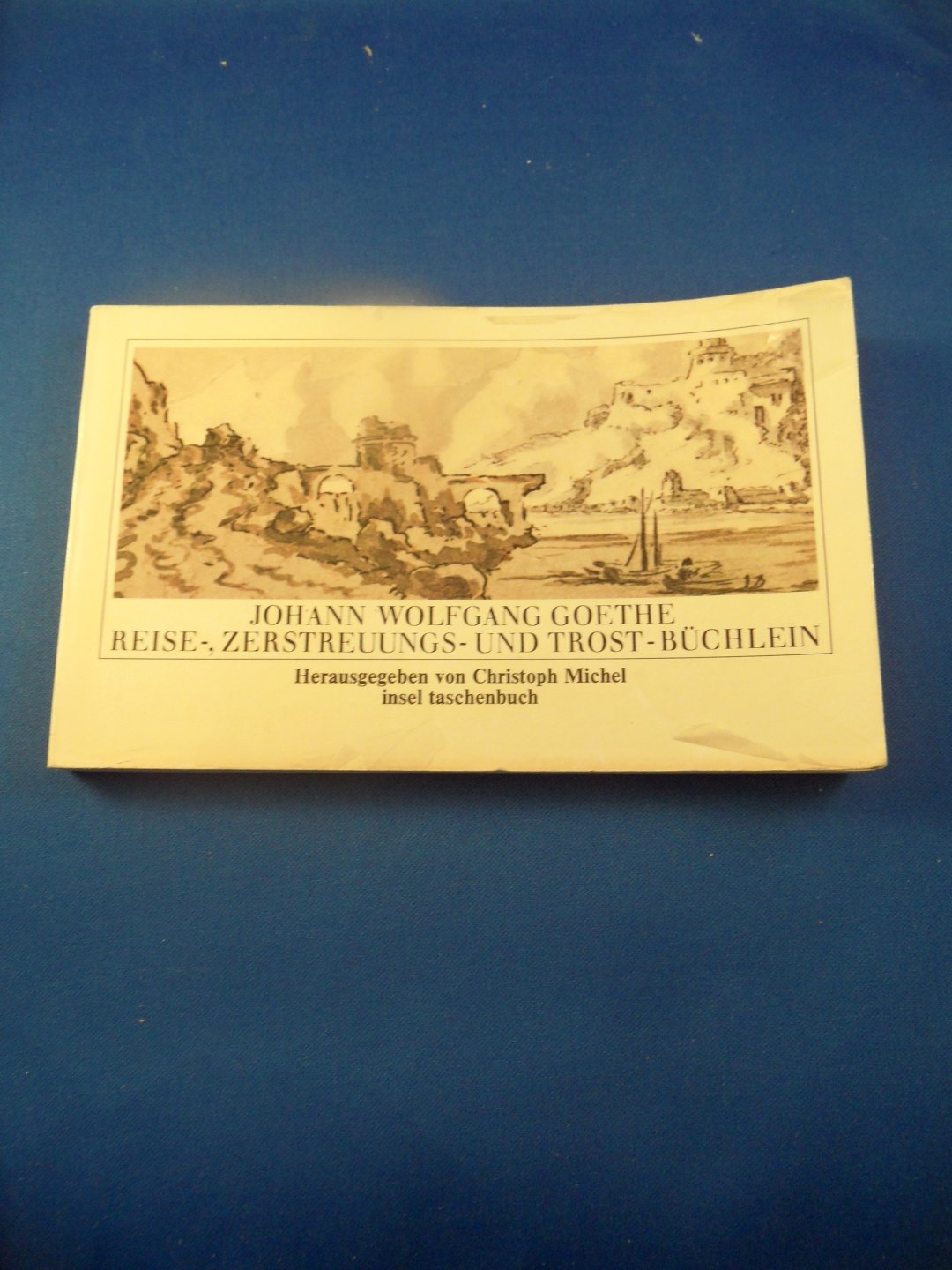 Goethe, Johann Wolfgang - Reise-, Zerstreuungs- und Trost - Buch