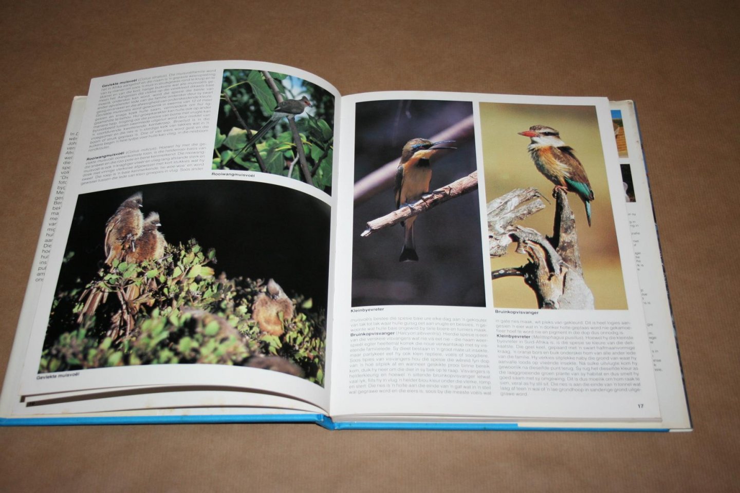 Sinclair & Mendelsohn -- Foto's Peter Johnson - Die Suid-Afrikaanse Voëlgids