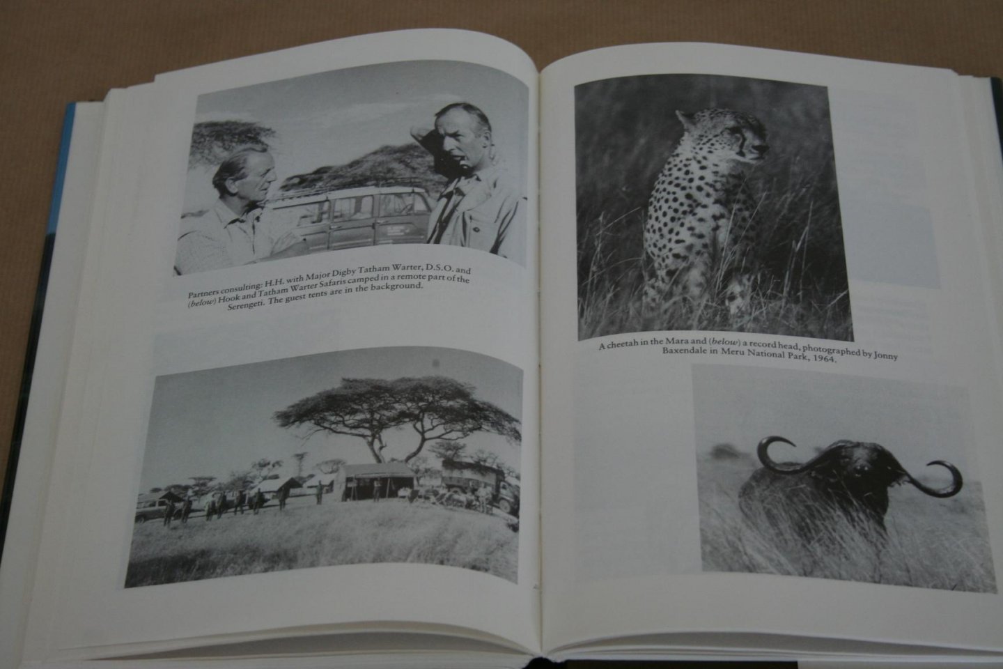 Hilary Hook - Home from the Hill