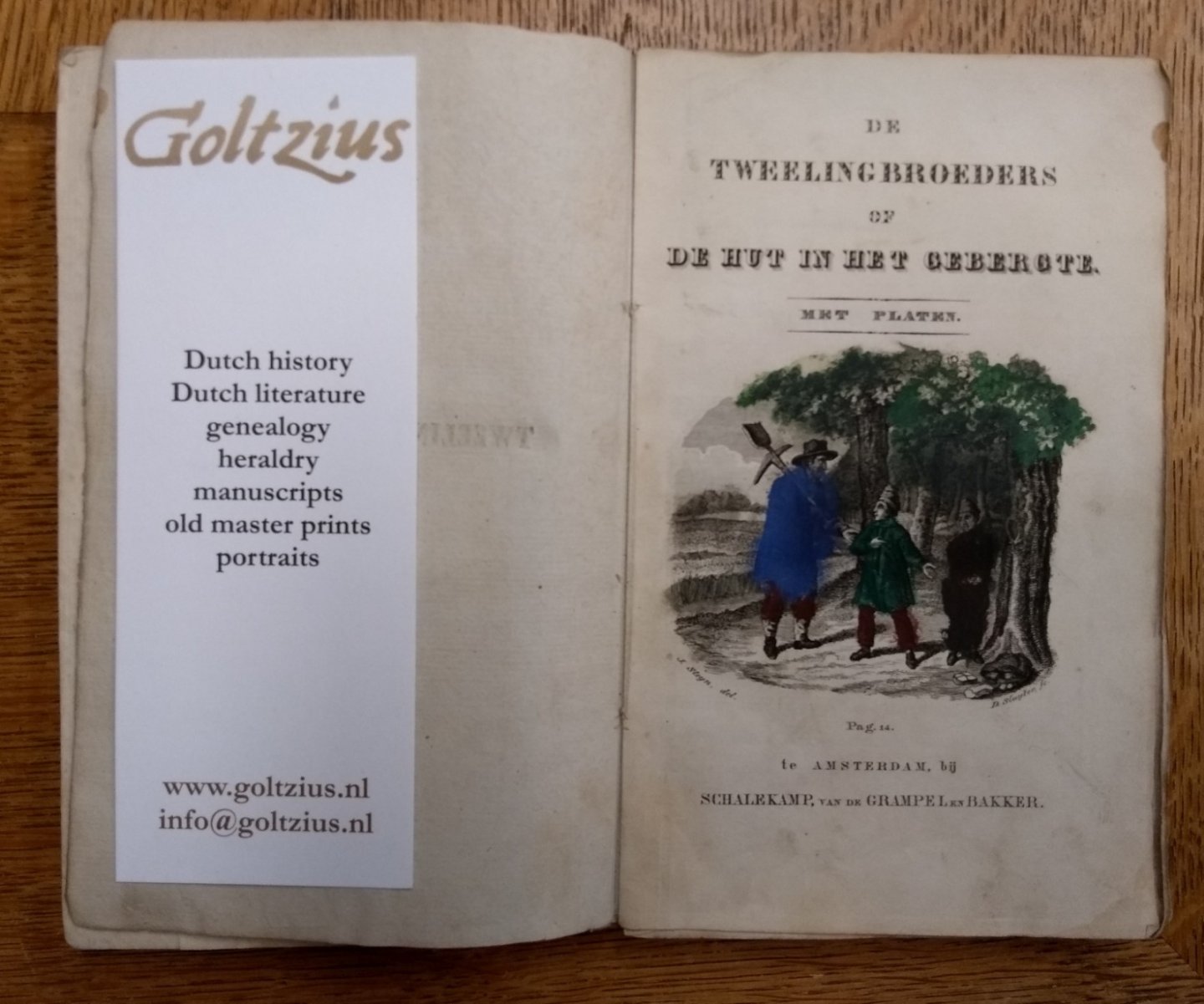  - De tweelingbroeders, of, De hut in het gebergte
